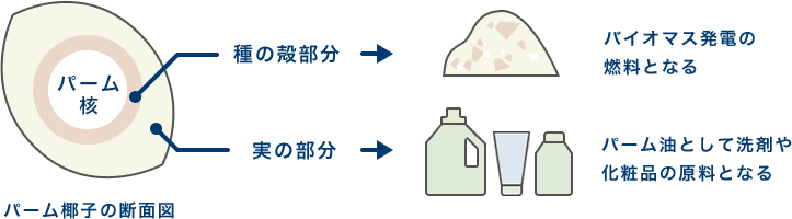 地球の未来のため